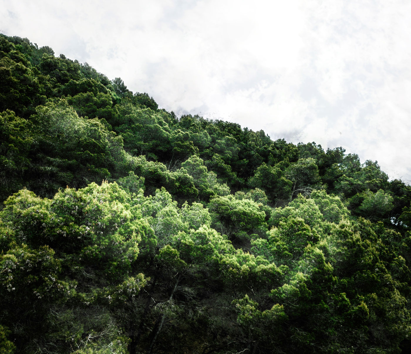 敞向自然，與萬坪樹海為鄰