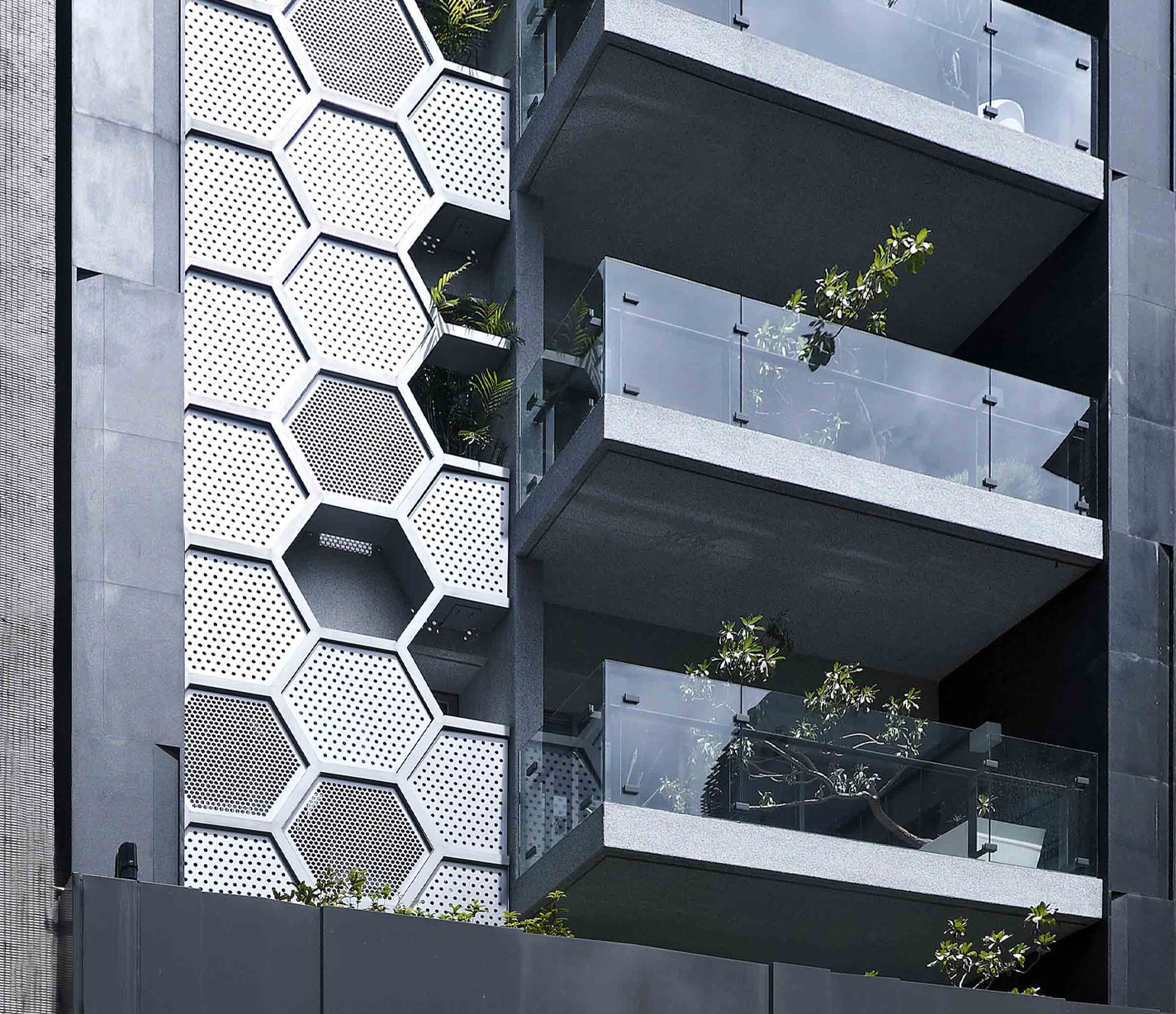 展宜仁沂 / 中正區