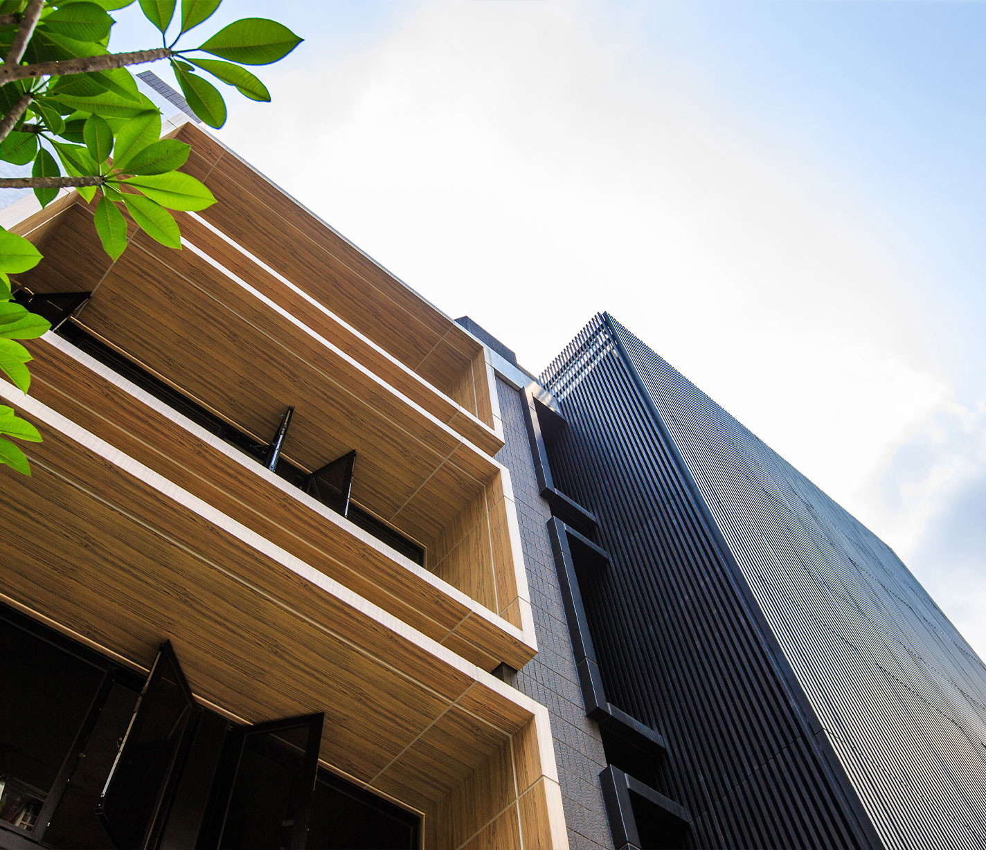 展宜摘月 / 中正區