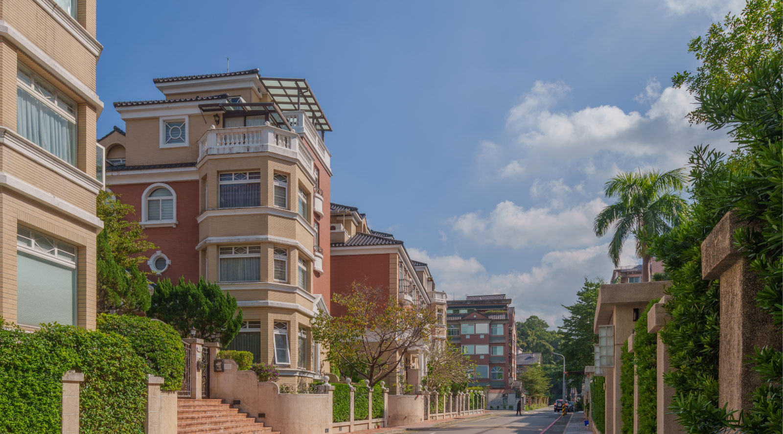 民權大道靜巷，綠蔭鋪展日常風景